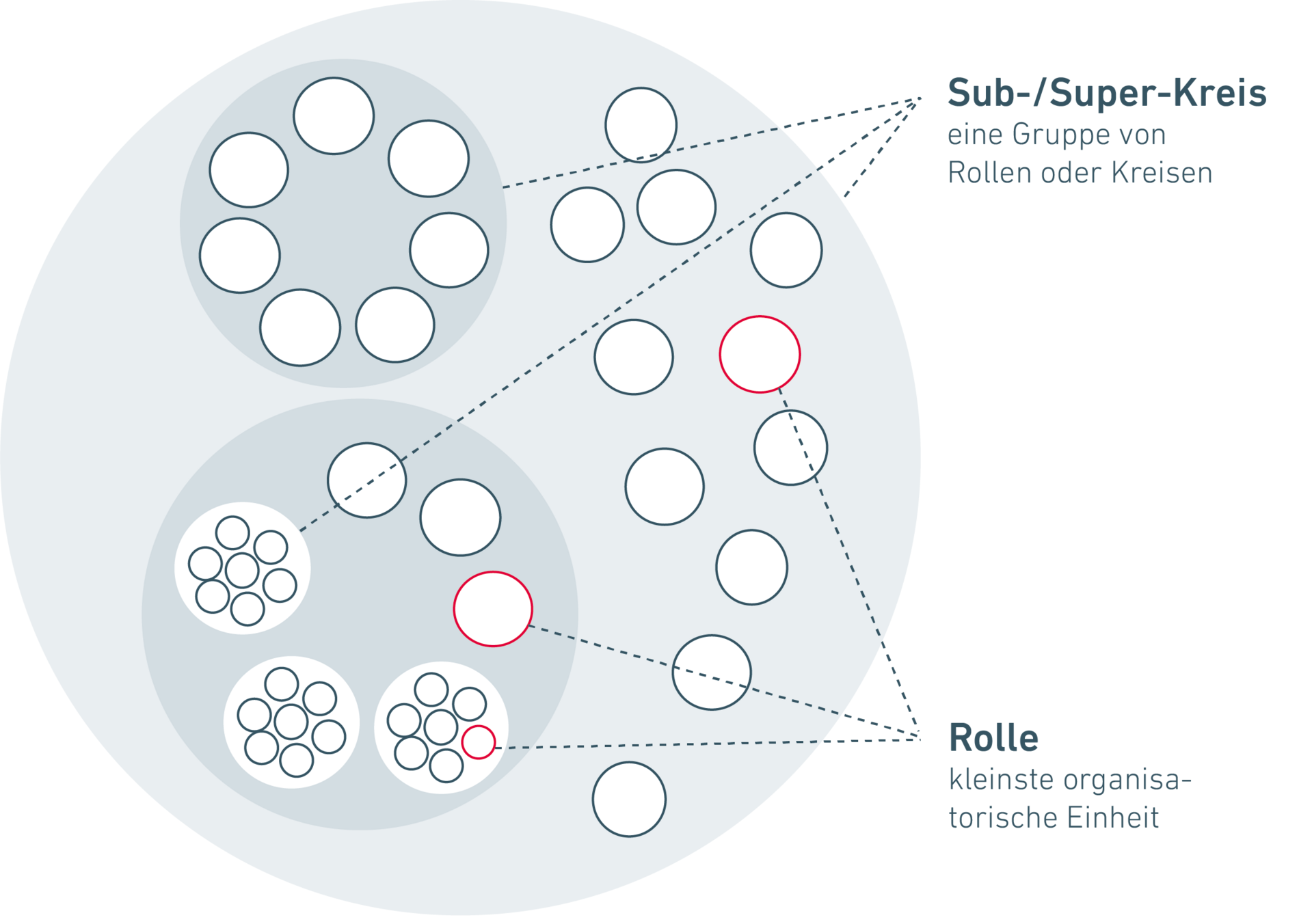 Hierarchielose Organisation oder teambasierte Organisation, Holokratie Beispiel