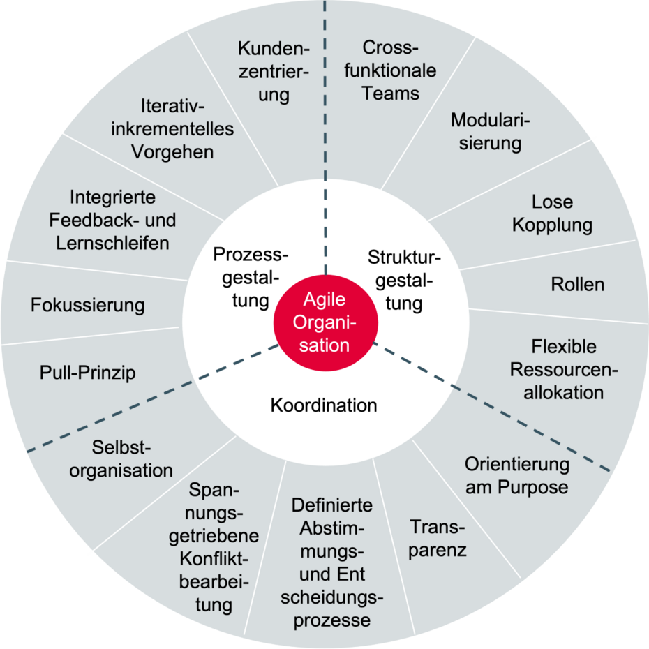 Agile Org Navigator 